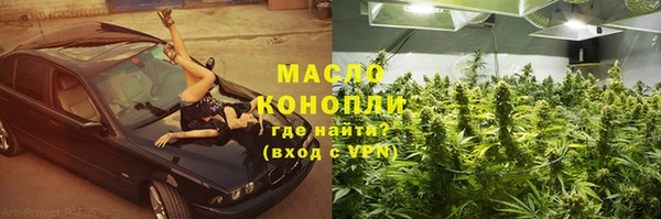 ECSTASY Богородицк